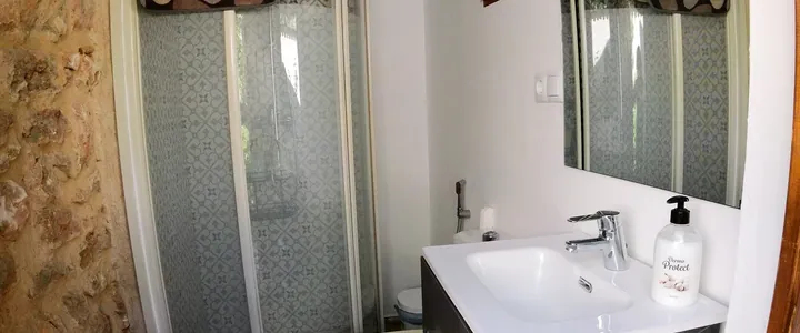 Baño con ducha y pared de piedra vista